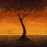 Memories Of Trees, Crimson Shelter 